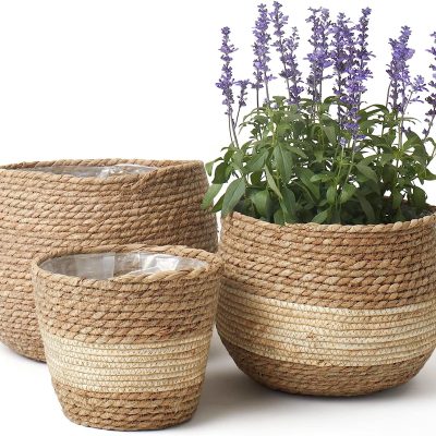 Large Indoor Seagrass Planter Blaskets