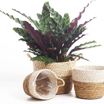 Rustic Farmhouse Seagrass Plant Basket with Handles